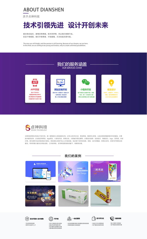 點神科技 大慶程序開發(fā)公司的企業(yè)網(wǎng)站建設與技術轉(zhuǎn)讓服務