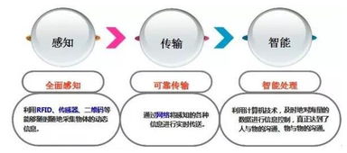 物聯(lián)網(wǎng)時代的神經(jīng)末梢 感知技術與網(wǎng)絡技術開發(fā)的融合前景